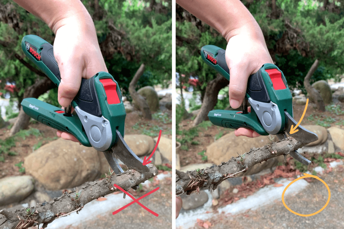 Bosch EasyPrune 修枝剪、樹枝剪、剪枝機 3.6v 動力輔助